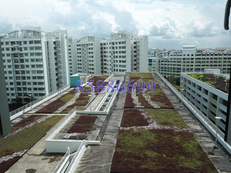 Blk 452 Yishun Ring Road (Yishun), HDB 4 Rooms #148293242